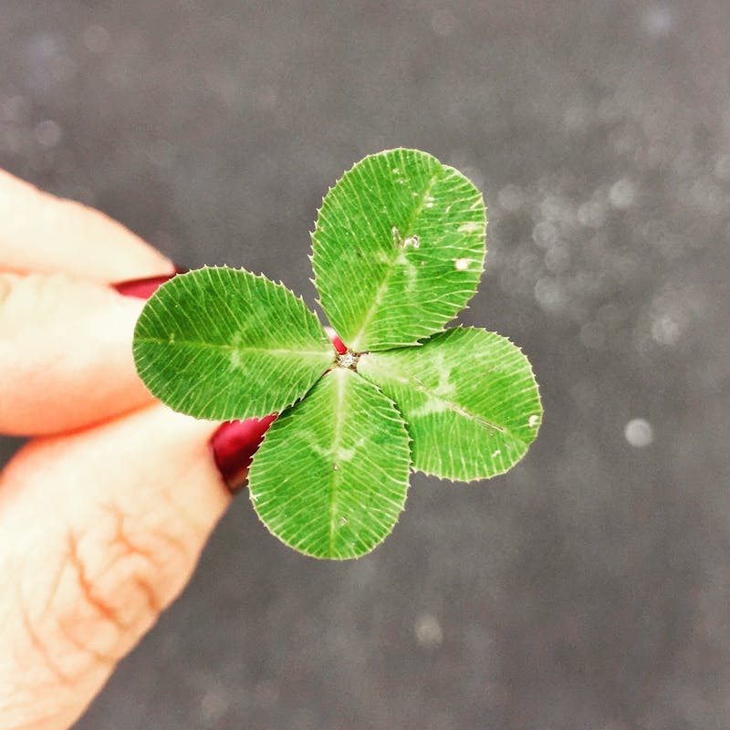 three fingers holding a 4 leafed clover