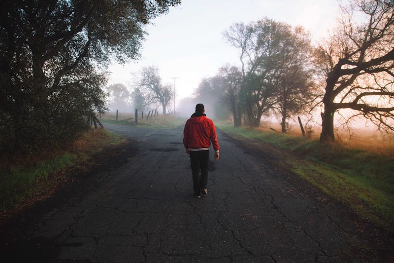 A pic of a guy from the back walking toward a fork in the road.