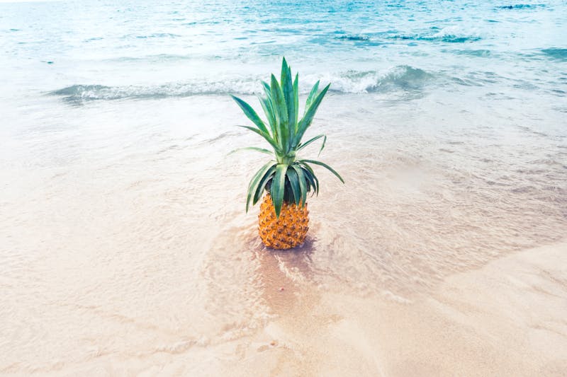 A pineapple on the beach as waves coming in