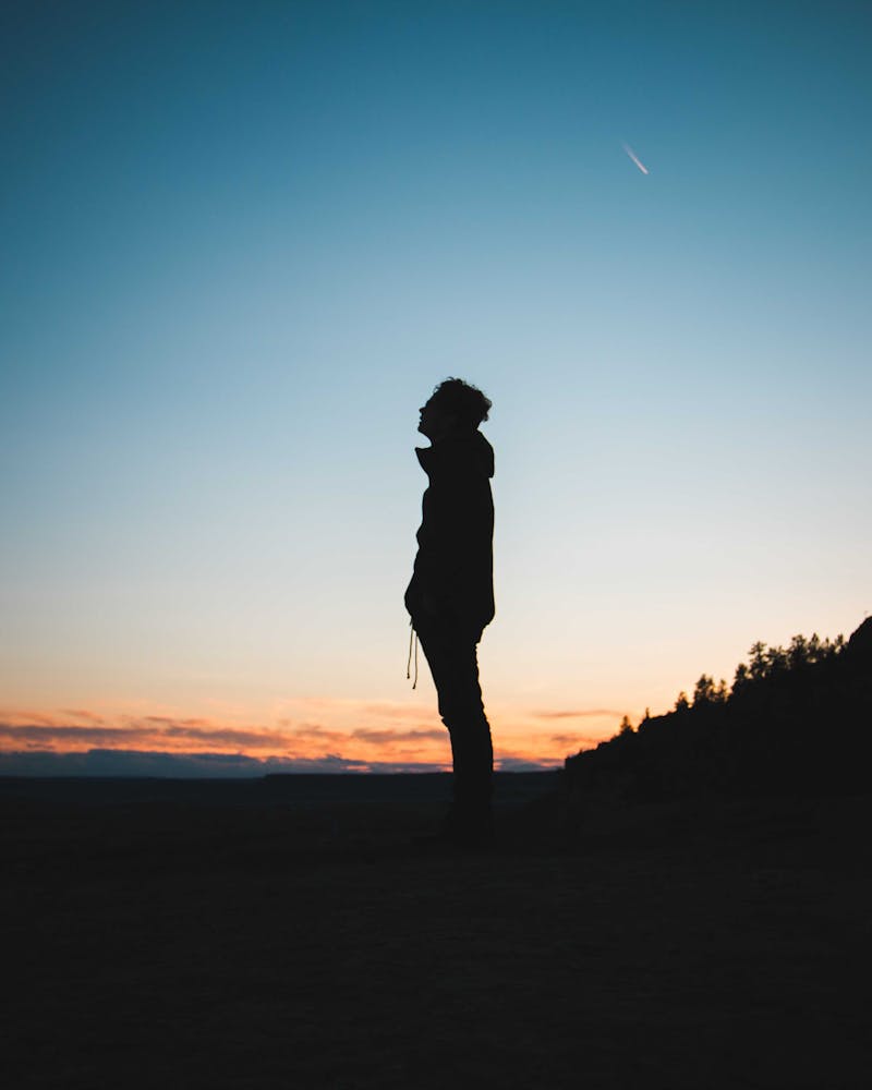 This is a picture of a man standing looking up with the sunset in background