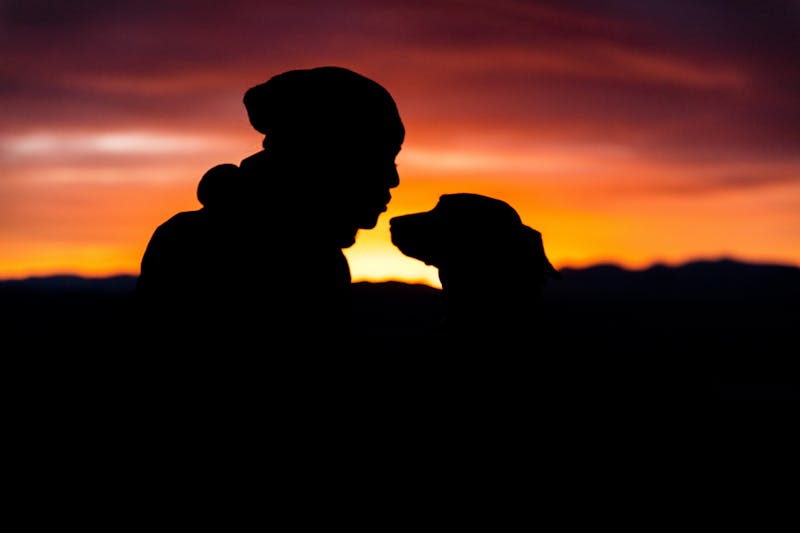 A person and a dog silhouette during sun set