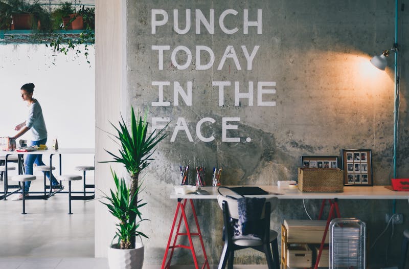 A photo of a wall with painted text that reads, "PUNCH TODAY IN THE FACE.". Looks like it is in a modern office.