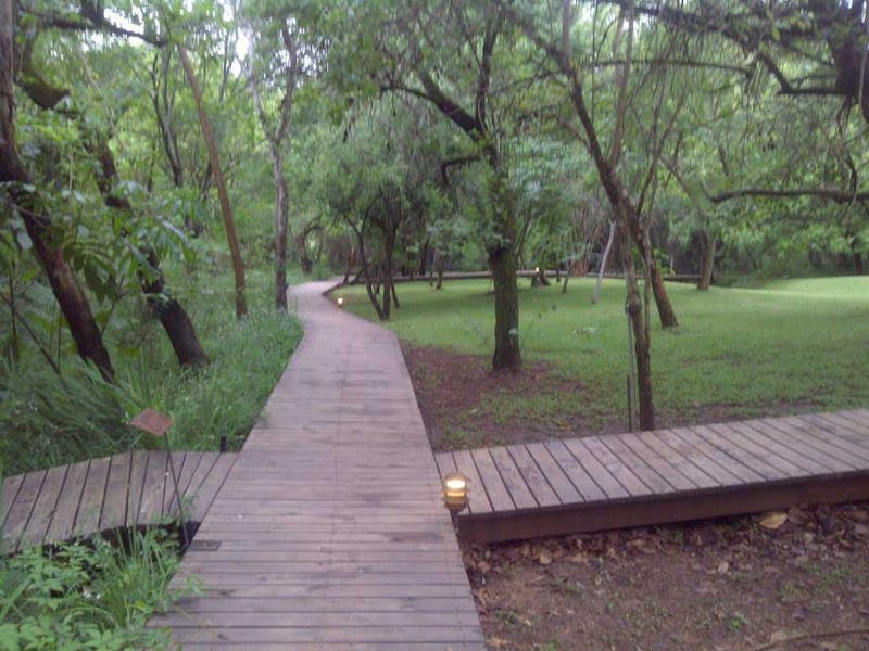 Wooden path ways crossing in a garden.